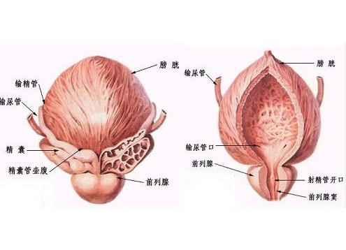 前列腺增生的症状